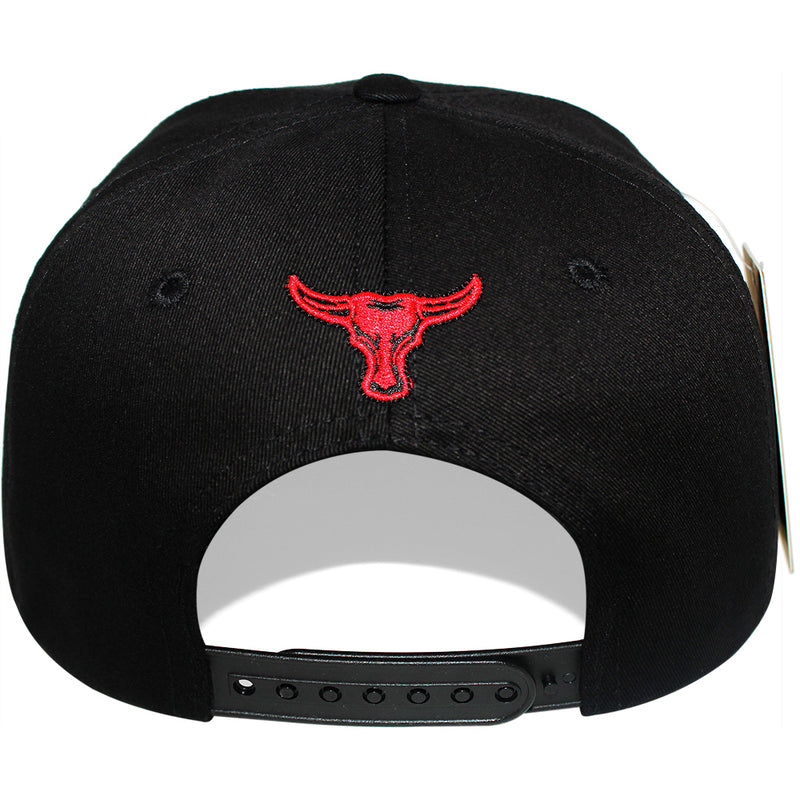 TOP LEVEL : BULL | Paisley & Ornamental Pattern Design Snapback Cap