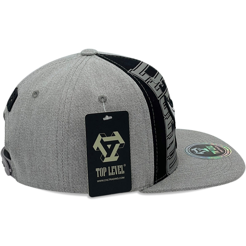 TOP LEVEL : BULL | Legend Print and Embroidered 23 Design Snapback Cap