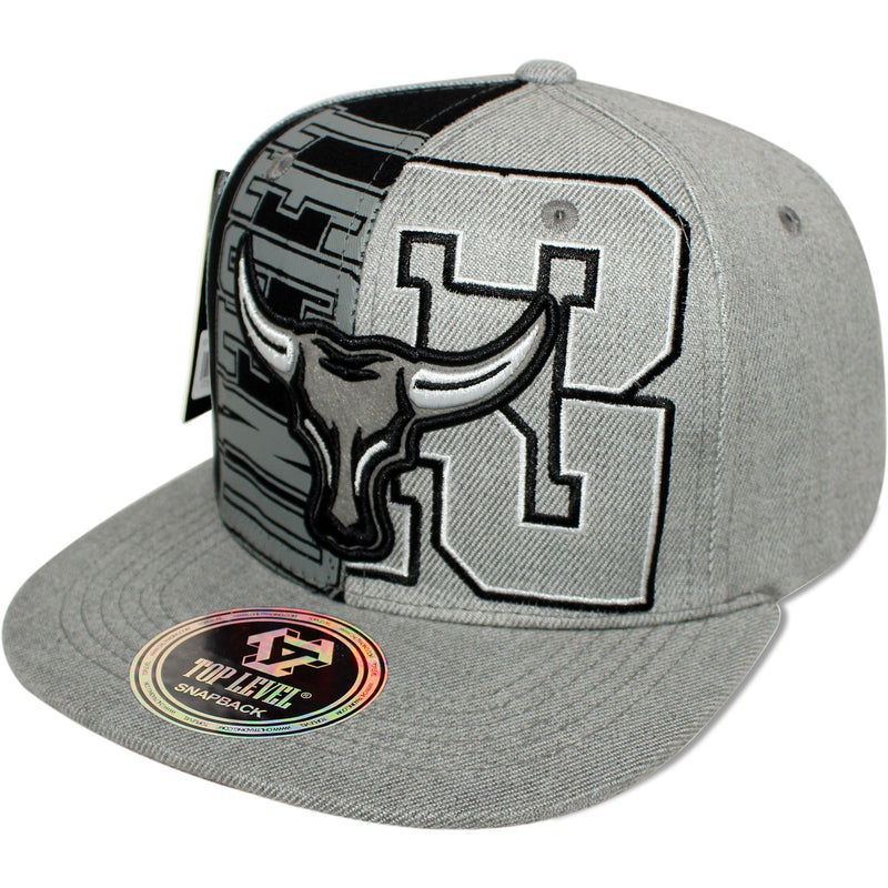 TOP LEVEL : BULL | Legend Print and Embroidered 23 Design Snapback Cap