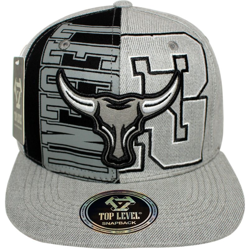 TOP LEVEL : BULL | Legend Print and Embroidered 23 Design Snapback Cap