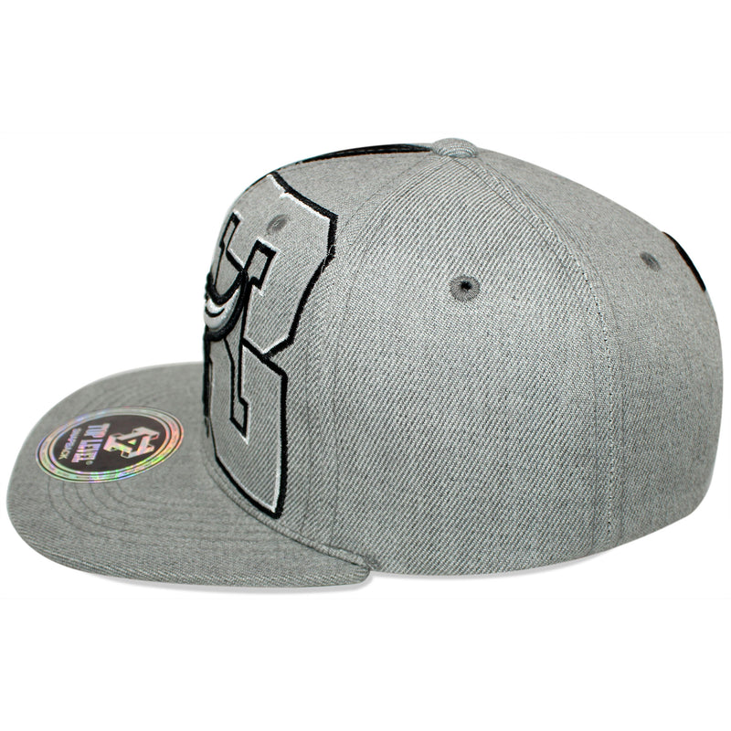 TOP LEVEL : BULL | Legend Print and Embroidered 23 Design Snapback Cap