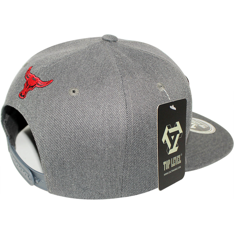 TOP LEVEL : BULL | Paisley & Ornamental Pattern Design Snapback Cap