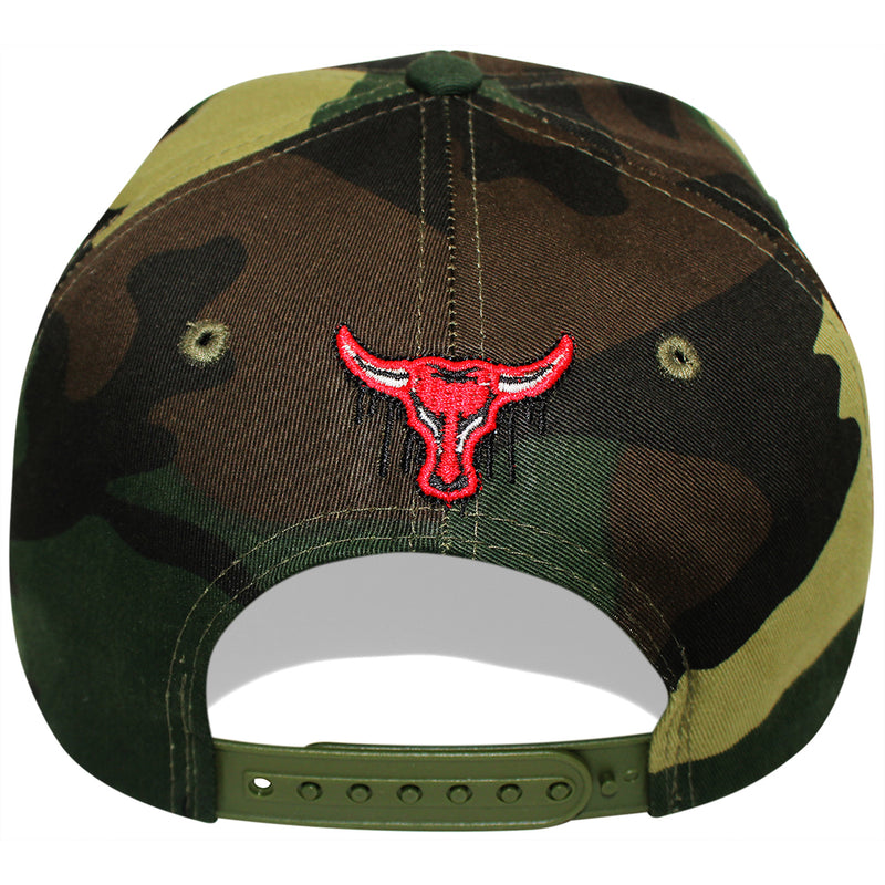 TOP LEVEL : BULL | Drippin' Our Bull Logo & 23 Print at Front Design Snapback Cap