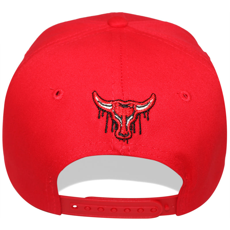 TOP LEVEL : BULL | Drippin' Our Bull Logo & 23 Print at Front Design Snapback Cap