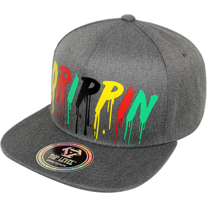 TOP LEVEL : DRIP | Dripping Verbiage Plastic Sol Print Design Snapback Cap