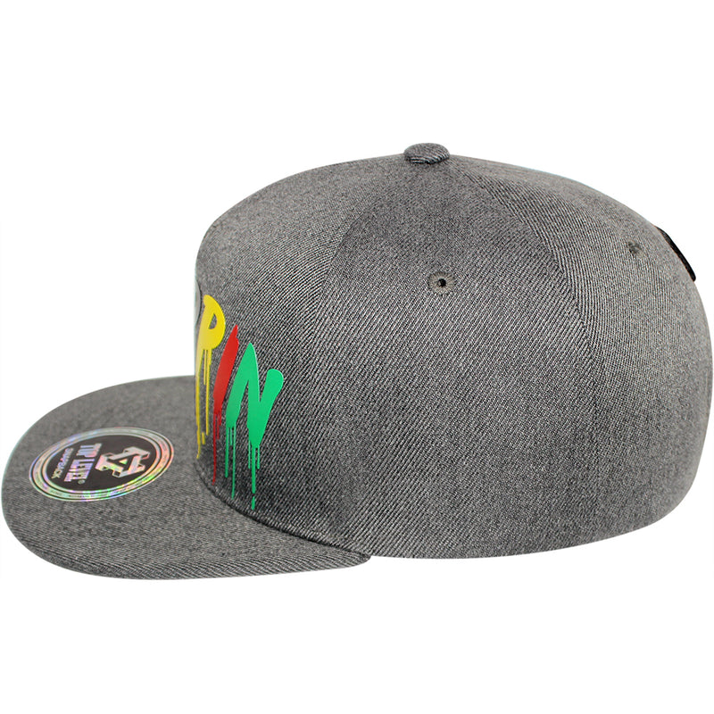 TOP LEVEL : DRIP | Dripping Verbiage Plastic Sol Print Design Snapback Cap