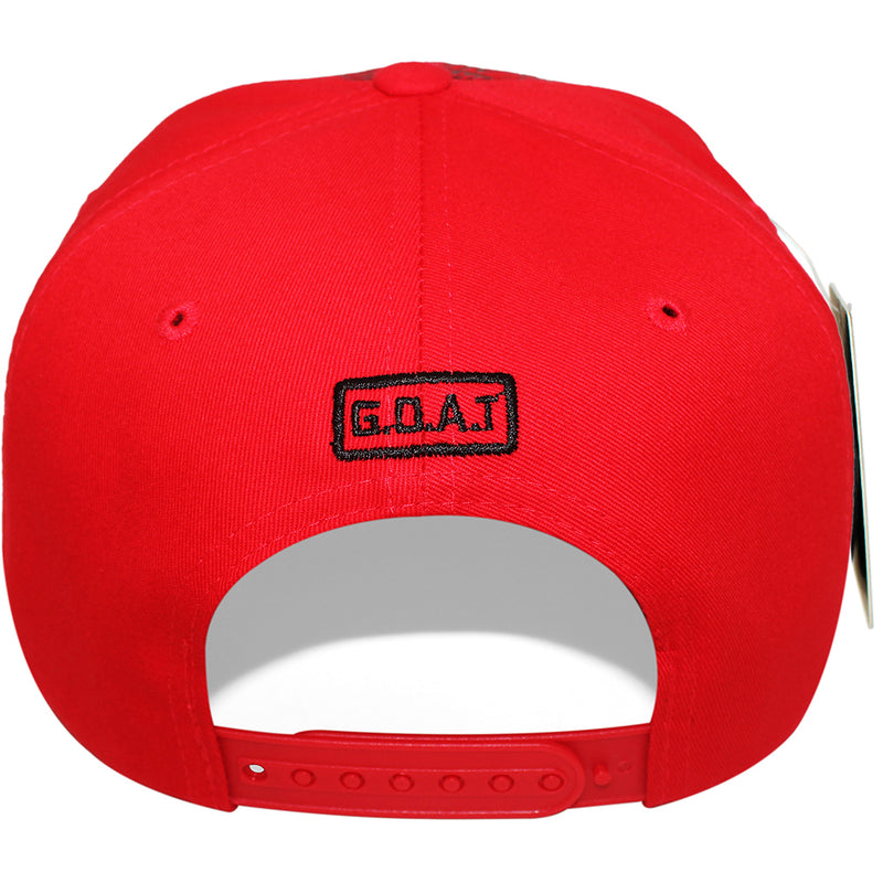 TOP LEVEL : GOAT | All Over Front Print Design Snapback Cap