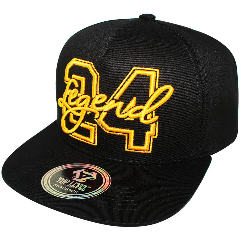 TOP LEVEL : LEGEND | 24 Embroidery Design Snapback Cap