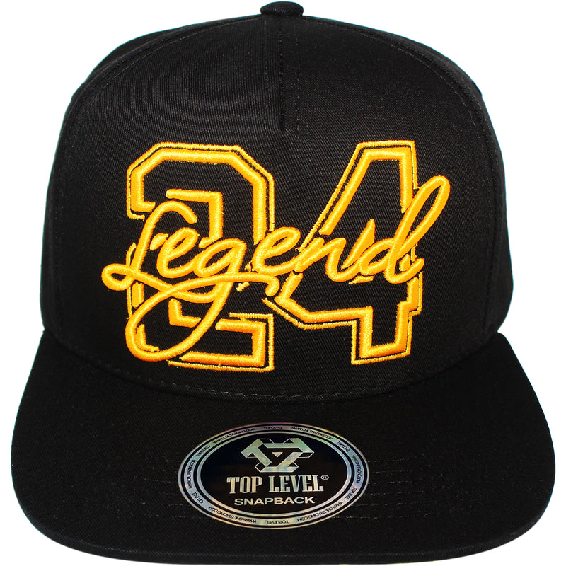 TOP LEVEL : LEGEND | 24 Embroidery Design Snapback Cap