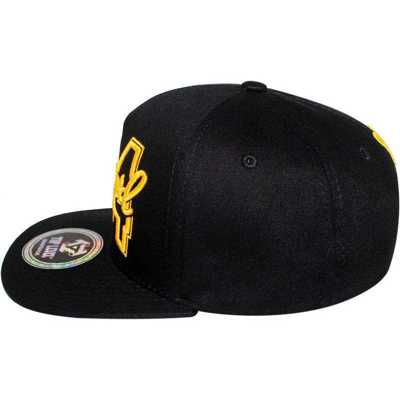 TOP LEVEL : LEGEND | 24 Embroidery Design Snapback Cap