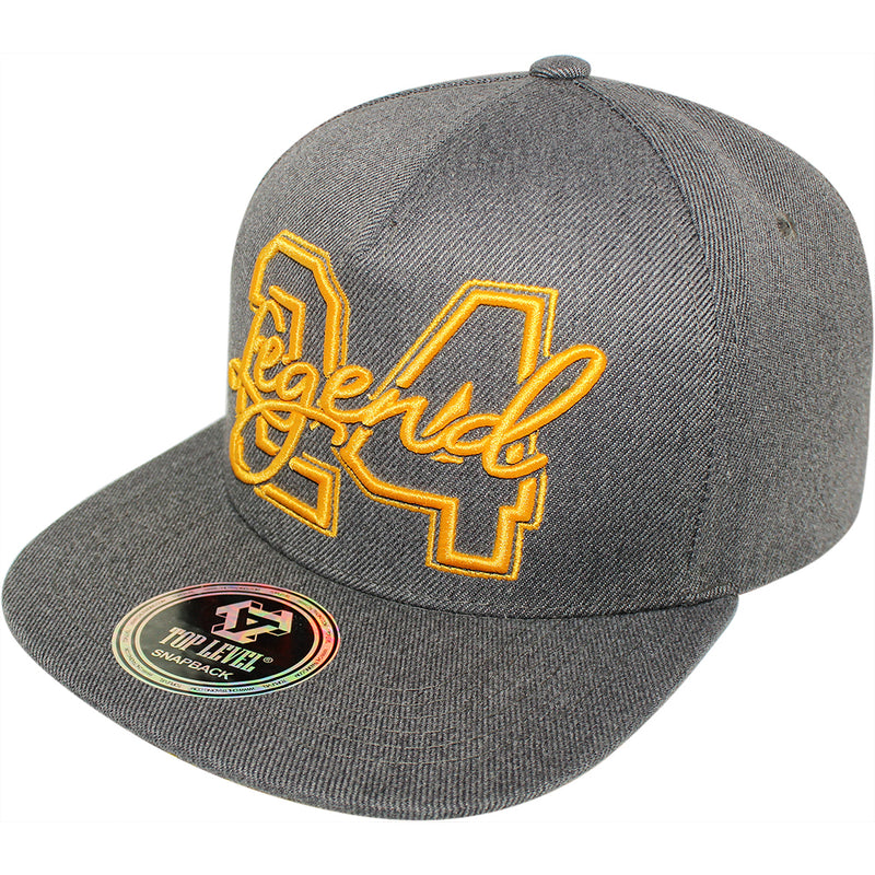 TOP LEVEL : LEGEND | 24 Embroidery Design Snapback Cap