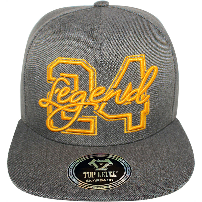 TOP LEVEL : LEGEND | 24 Embroidery Design Snapback Cap