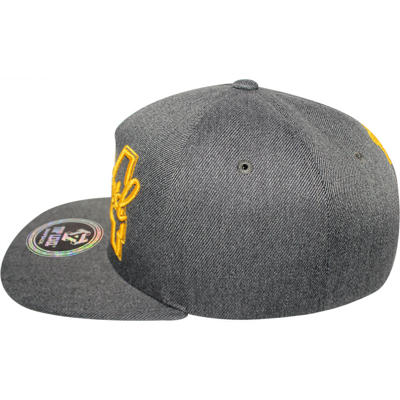 TOP LEVEL : LEGEND | 24 Embroidery Design Snapback Cap