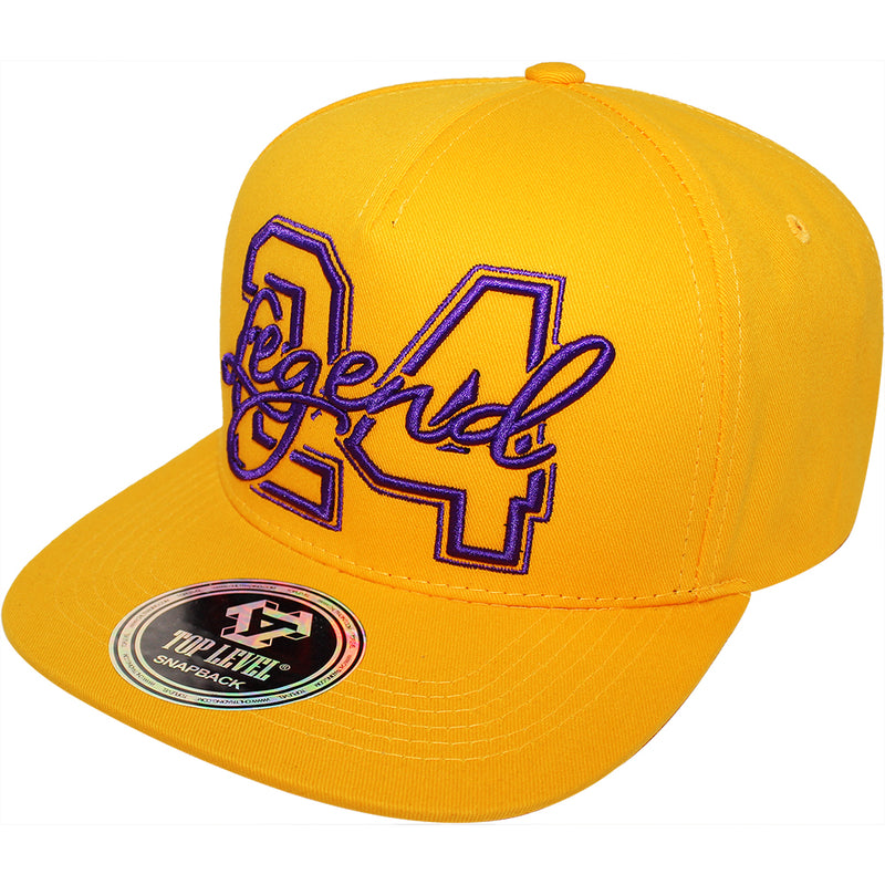 TOP LEVEL : LEGEND | 24 Embroidery Design Snapback Cap