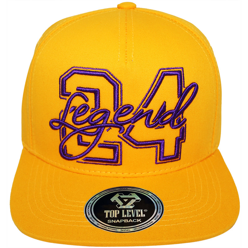 TOP LEVEL : LEGEND | 24 Embroidery Design Snapback Cap