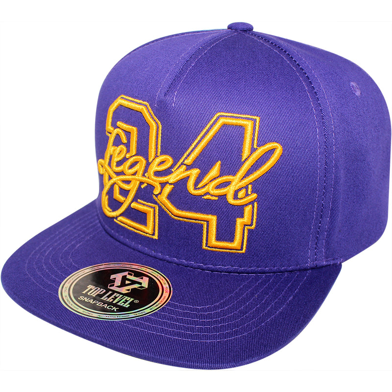 TOP LEVEL : LEGEND | 24 Embroidery Design Snapback Cap