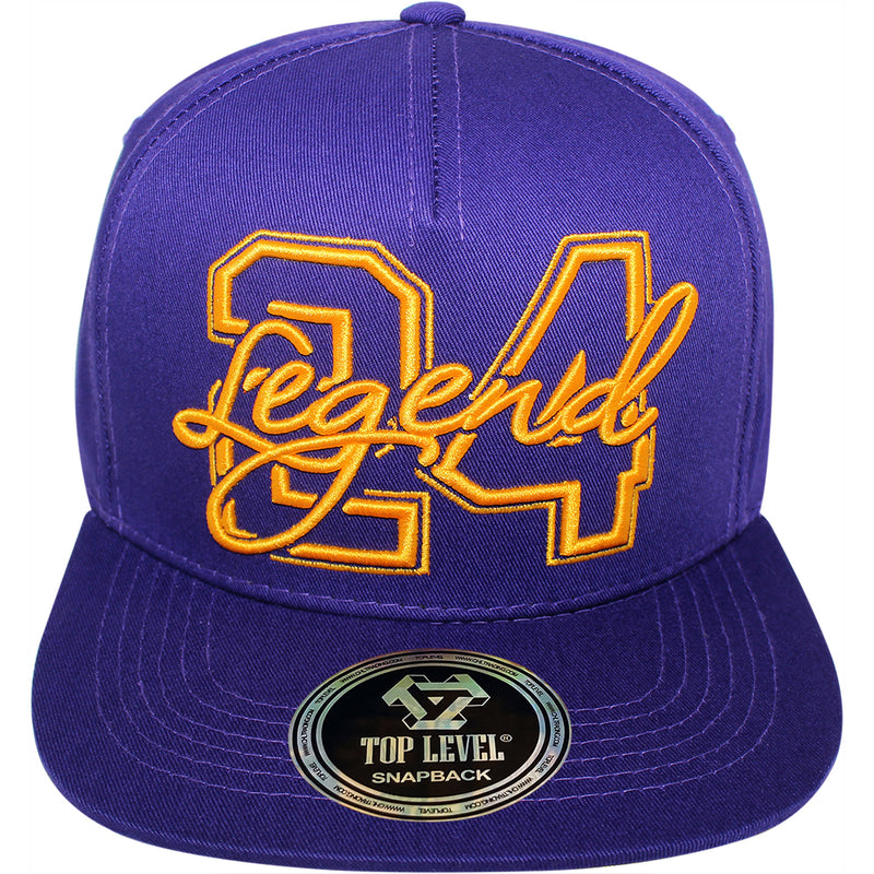 TOP LEVEL : LEGEND | 24 Embroidery Design Snapback Cap