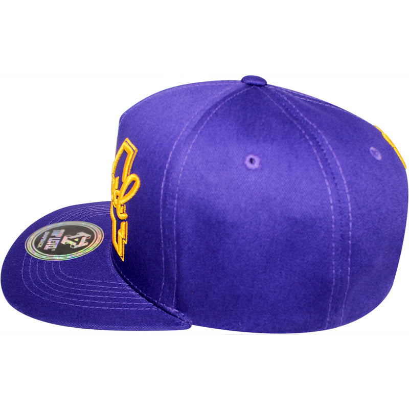 TOP LEVEL : LEGEND | 24 Embroidery Design Snapback Cap