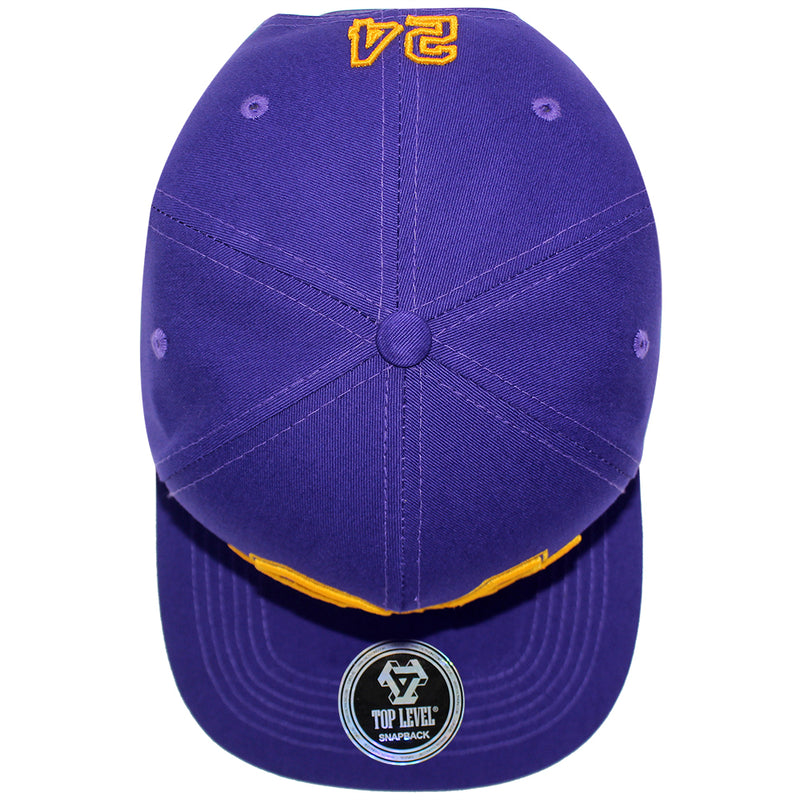 TOP LEVEL : LEGEND | 24 Embroidery Design Snapback Cap