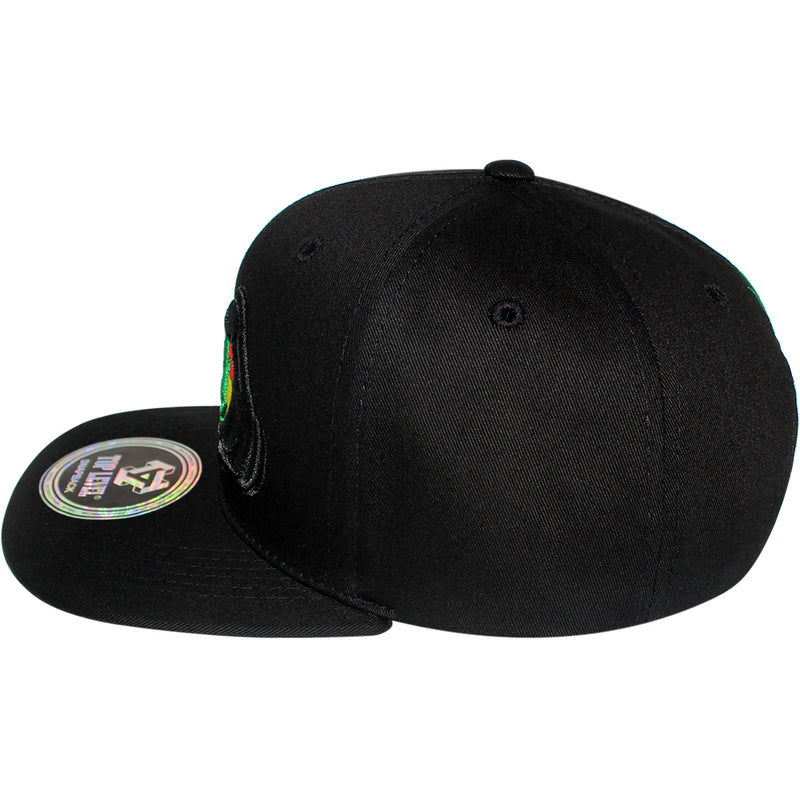 TOP LEVEL : MARIJUANA | Funny Cartoon Hands Embroidery Design Snapback Cap