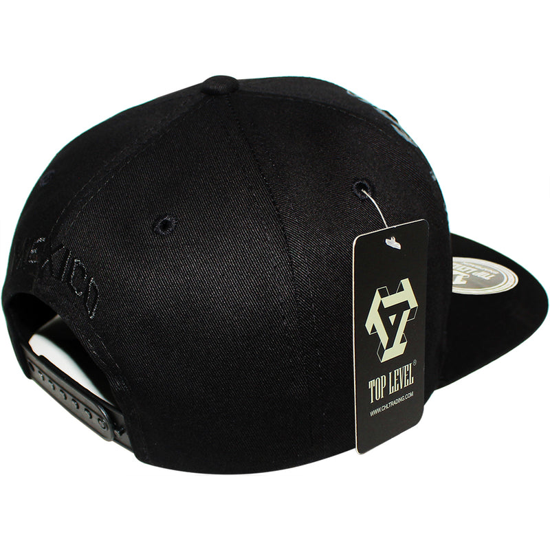 TOP LEVEL : MEXICO | Hecho EN Multi Design Snapback Cap