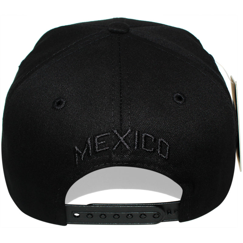 TOP LEVEL : MEXICO | Hecho EN Multi Design Snapback Cap