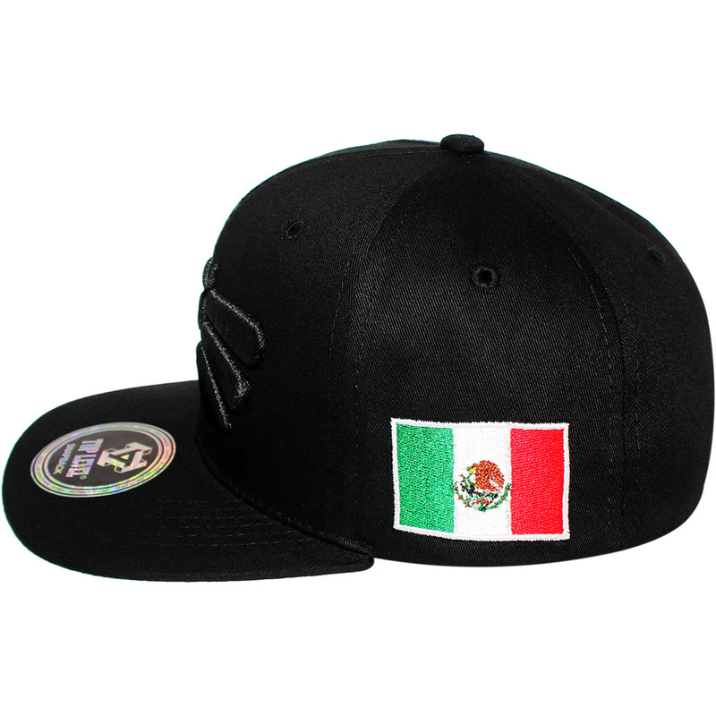 TOP LEVEL : MEXICO | Hecho EN Multi Design Snapback Cap