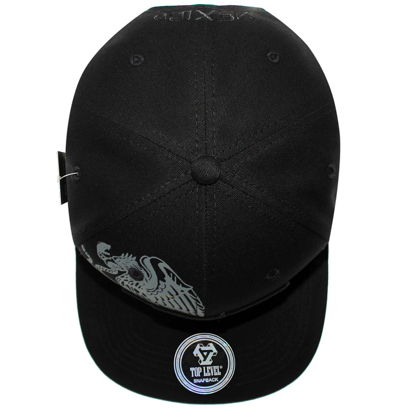 TOP LEVEL : MEXICO | Hecho EN Multi Design Snapback Cap