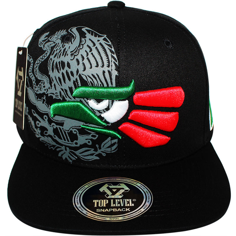 TOP LEVEL : MEXICO | Hecho EN Multi Design Snapback Cap