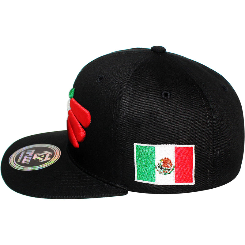 TOP LEVEL : MEXICO | Hecho EN Multi Design Snapback Cap