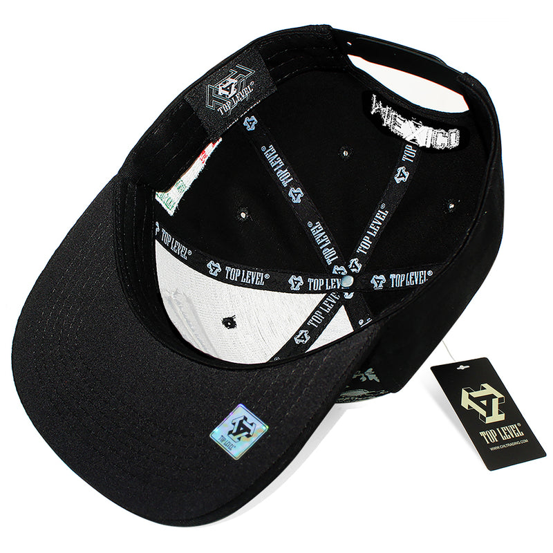 TOP LEVEL : MEXICO | Hecho EN Multi Design Snapback Cap