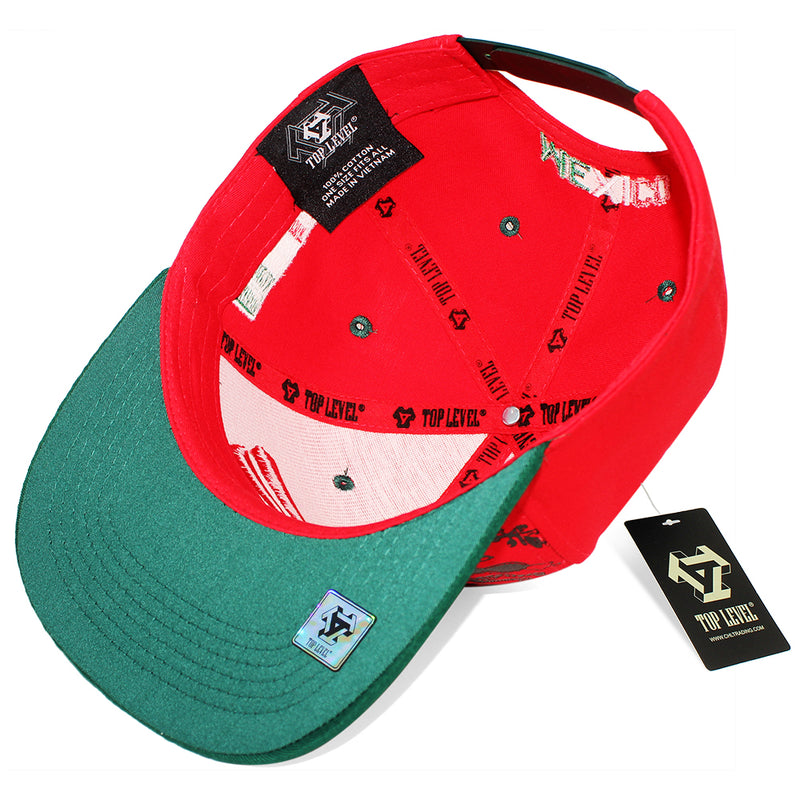 TOP LEVEL : MEXICO | Hecho EN Multi Design Snapback Cap