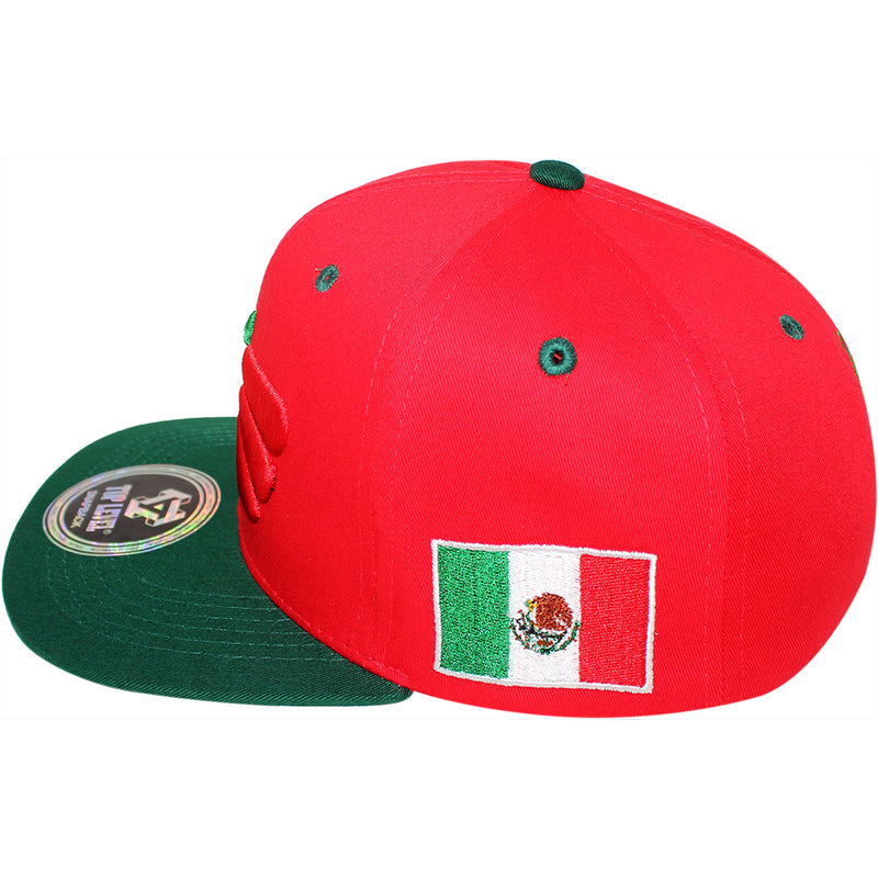 TOP LEVEL : MEXICO | Hecho EN Multi Design Snapback Cap