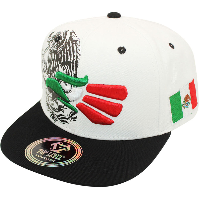 TOP LEVEL : MEXICO | Hecho EN Multi Design Snapback Cap