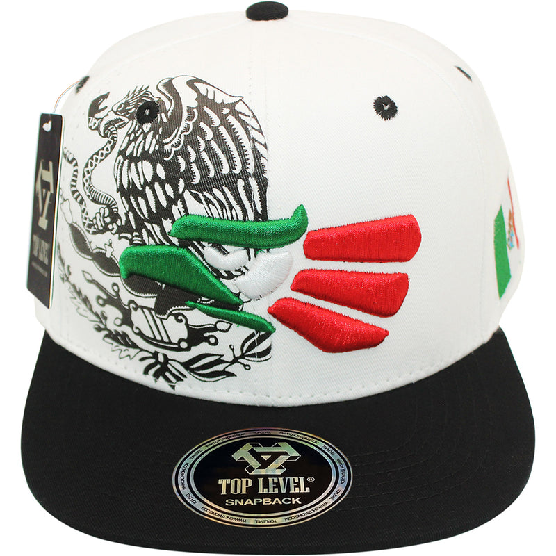 TOP LEVEL : MEXICO | Hecho EN Multi Design Snapback Cap