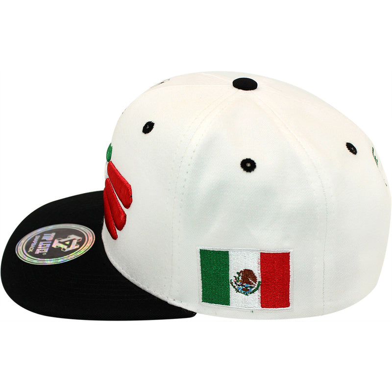 TOP LEVEL : MEXICO | Hecho EN Multi Design Snapback Cap