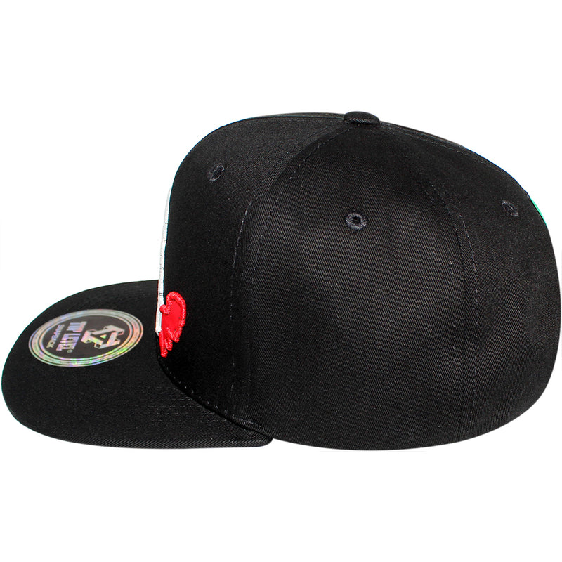 TOP LEVEL : MEXICO | Map with Mexico Flag Sublimation Patch Design Snapback Cap