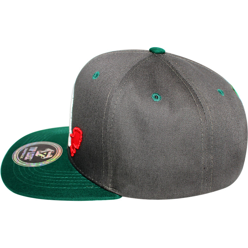 TOP LEVEL : MEXICO | Map with Mexico Flag Sublimation Patch Design Snapback Cap