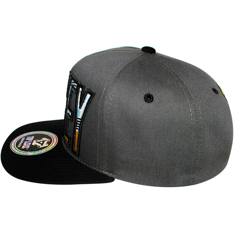 TOP LEVEL : MONEY | Bill Sublimation Patch Design Snapback Cap