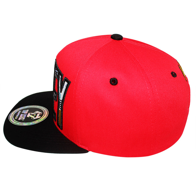 TOP LEVEL : MONEY | Bill Sublimation Patch Design Snapback Cap