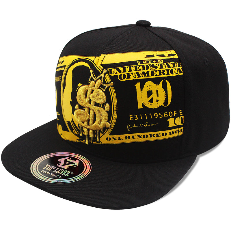 TOP LEVEL : MONEY | Unique Dripping Dollar Sign & $100 Bill Print Design Snapback Cap