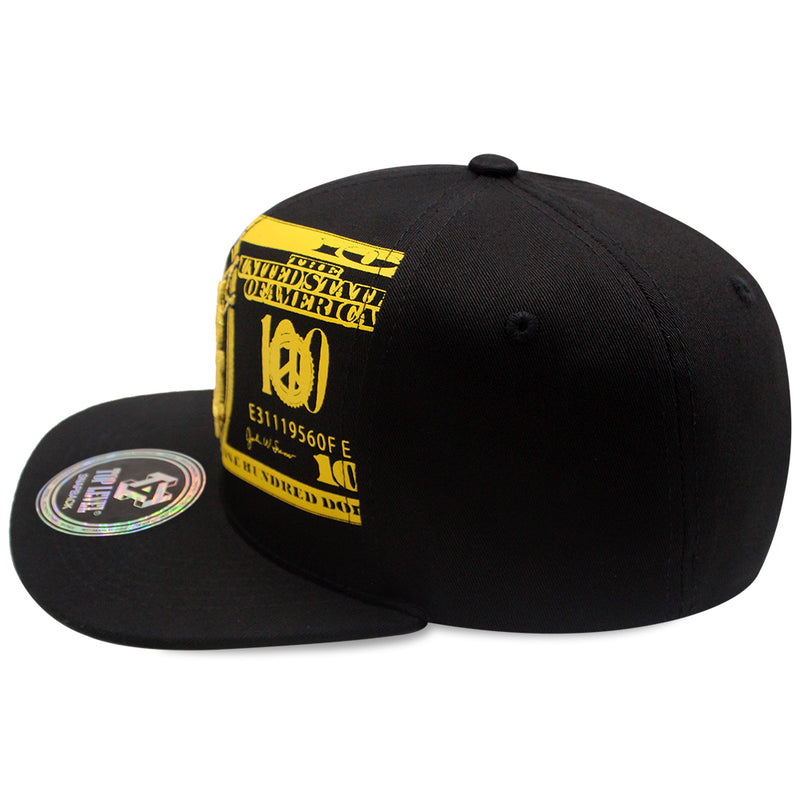 TOP LEVEL : MONEY | Unique Dripping Dollar Sign & $100 Bill Print Design Snapback Cap