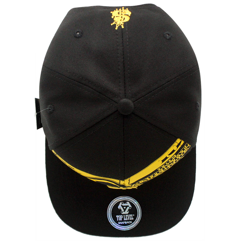 TOP LEVEL : MONEY | Unique Dripping Dollar Sign & $100 Bill Print Design Snapback Cap