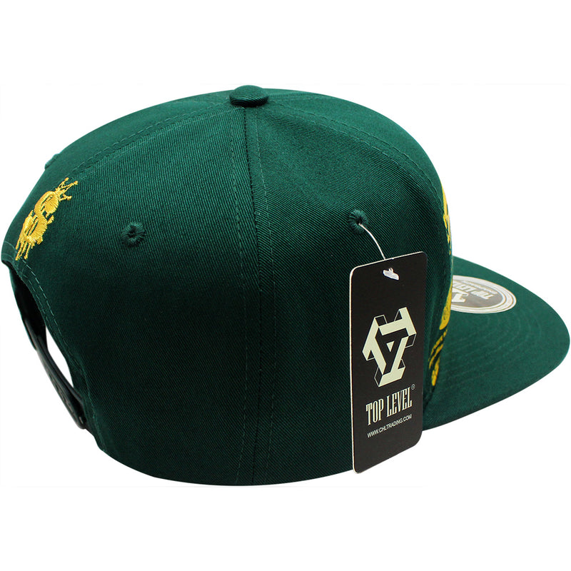 TOP LEVEL : MONEY | Unique Dripping Dollar Sign & $100 Bill Print Design Snapback Cap