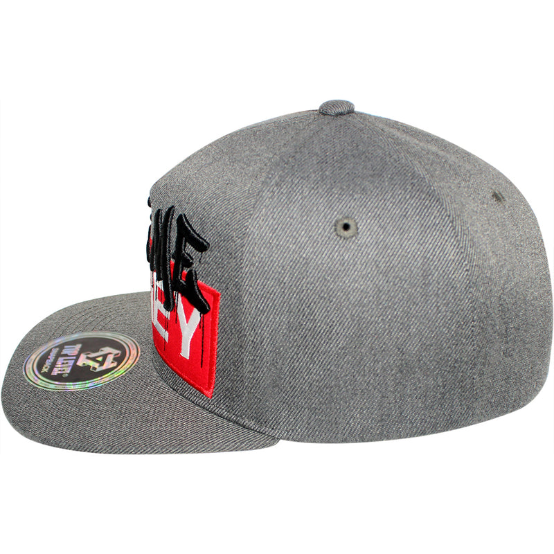 TOP LEVEL : MONEY | Embroidered Give Me Money Verbiage Design Snapback Cap