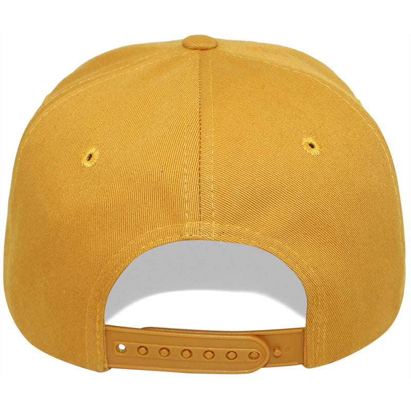 TOP LEVEL : MONEY | Rich Bear Character $100 Money Bill Design Snapback Cap