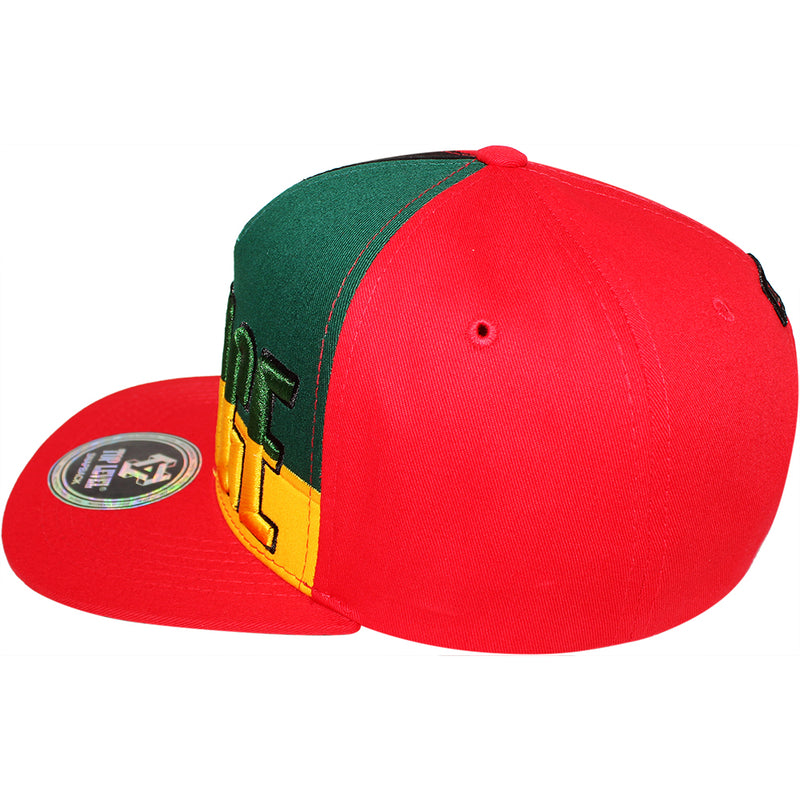 TOP LEVEL : SAVAGE | Front Raised Embroidery with Color Block Design Snapback Cap